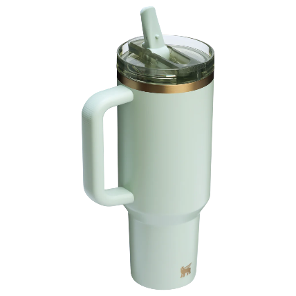 Stanley Quencher ProTour Flip Straw Tumbler | 40 OZ - Gilded Celadon
