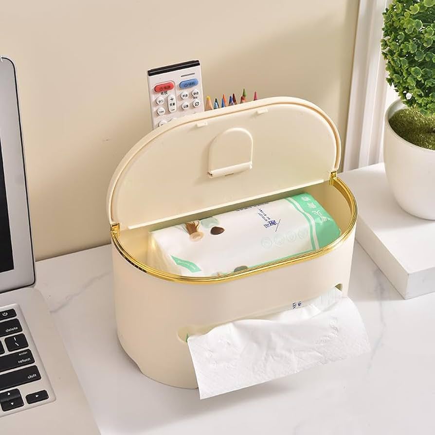 Modern Desktop Tissue Organizer