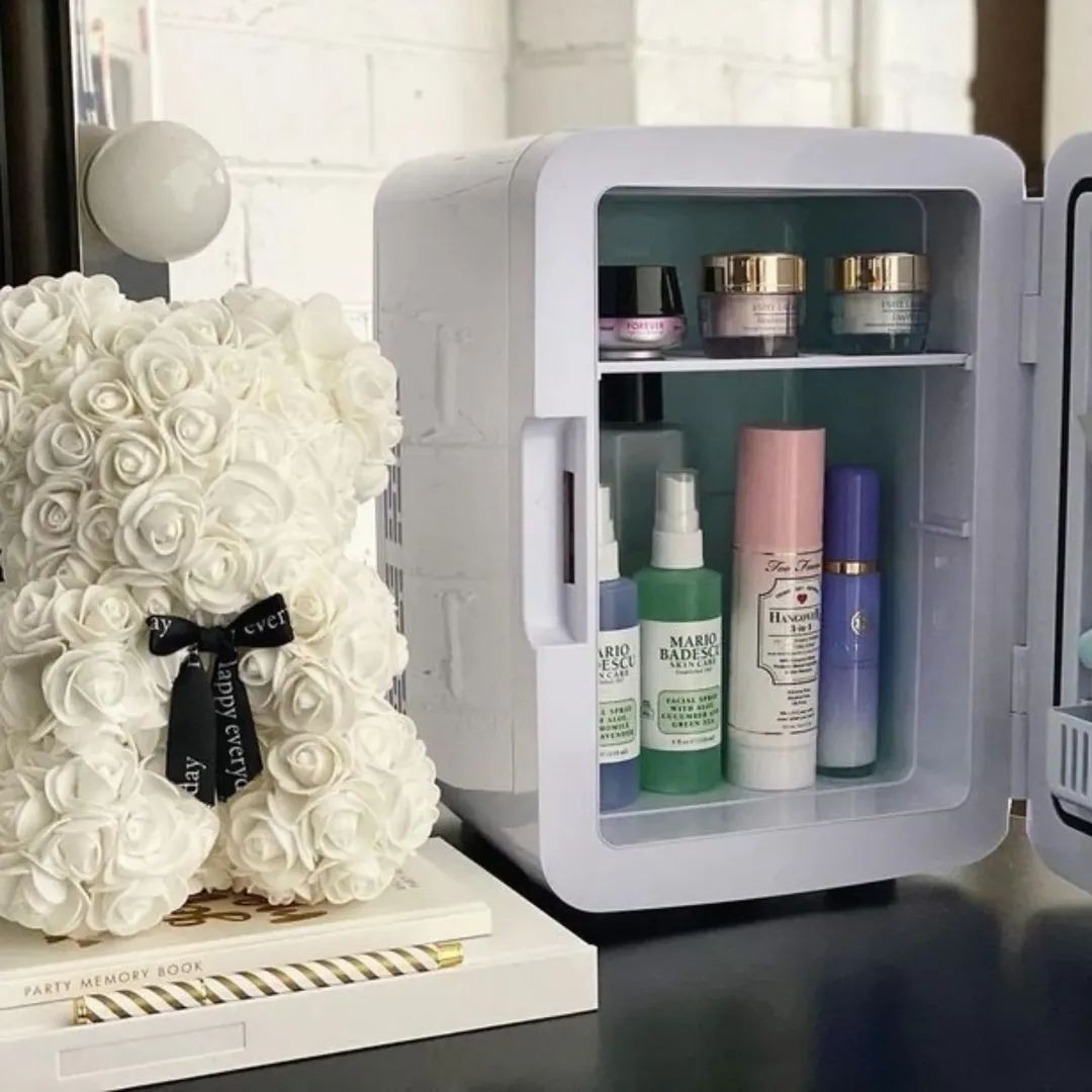 Mini Makeup Fridge – AC/DC Cooler & Warmer