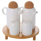 Elegant 4-in-1 Seasoning Container Set with Wooden Stand