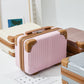 Double Caster Trolley Makeup Suitcase