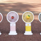 Mini Fruit Handheld Fan – Portable & Rechargeable